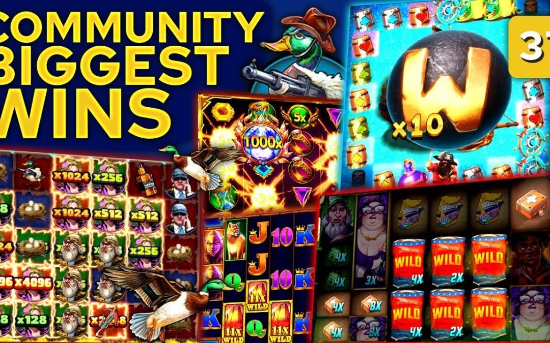 Community Biggest Wins – #37 / 2025