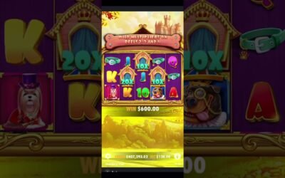 Big win The Dog House – Royal Hunt #onlinecasino #slot #slots #casino #freespins #freispiele #maxwin