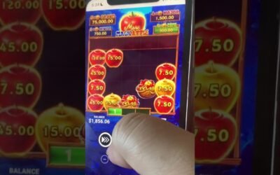 $15 HIT ONLINE POKIES WIN 💰 MAGIC APPLES 🍎🍎🍎 #pokieswin #slots #casino #magicapples